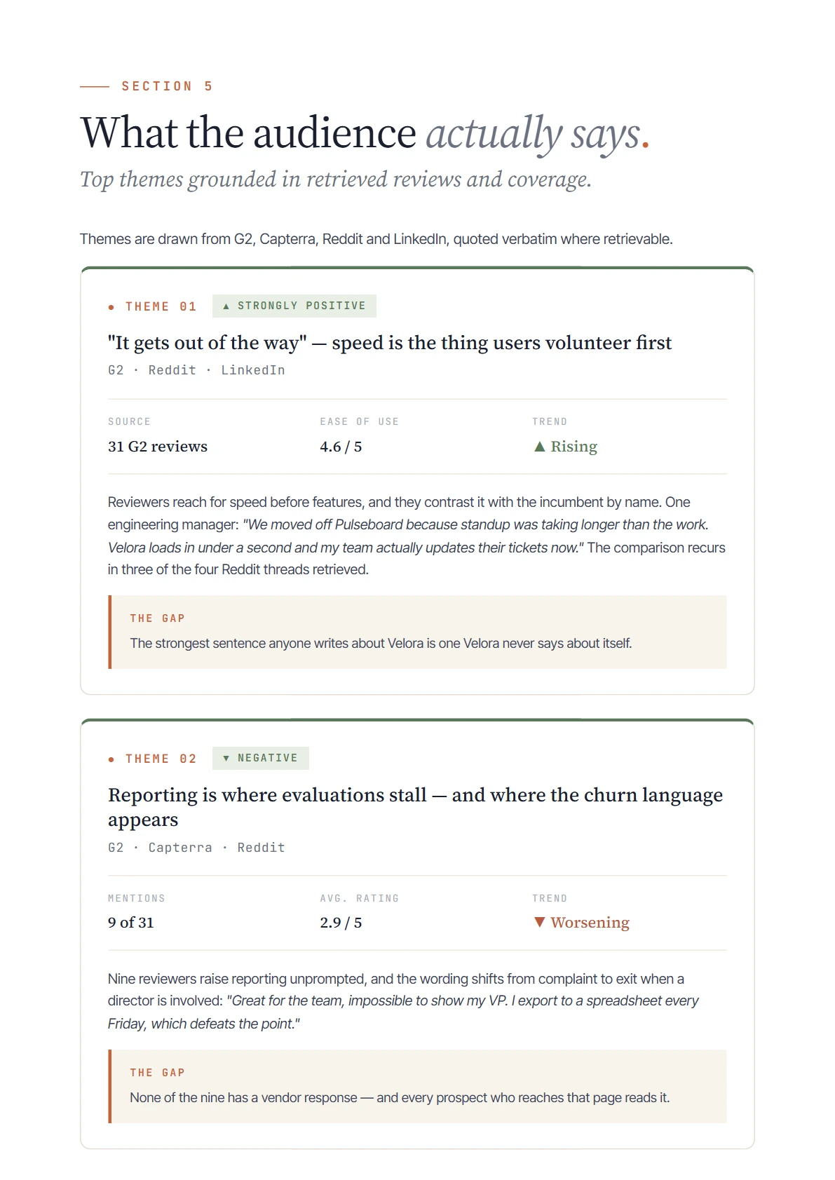 Audience themes page with two theme cards, each carrying a verbatim customer quote, supporting counts, and the gap that theme exposes